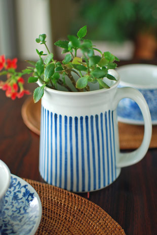 砥部焼・梅山窯　とくさ柄の水差しに花を活けて