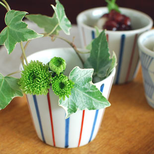 砥部焼・梅山窯　ごす赤線のそばちょこにお花を