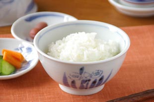 森陶房　すいせんの茶碗にご飯を