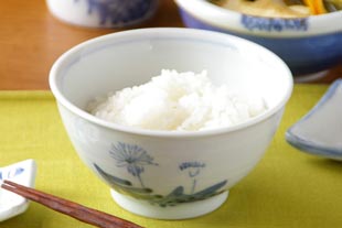 砥部焼・森陶房　たんぽぽの茶碗のご飯をよそって