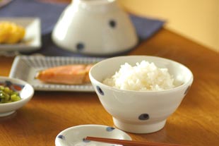 砥部焼・梅乃瀬窯　水玉もようの茶碗